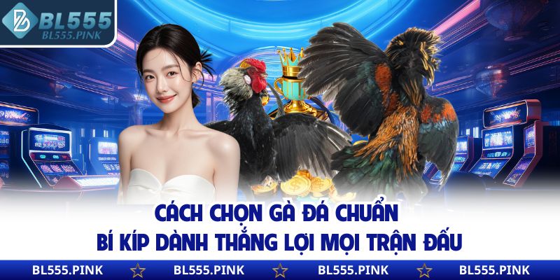 Cách Chọn Gà Đá Chuẩn | Bí Kíp Dành Thắng Lợi Mọi Trận Đấu