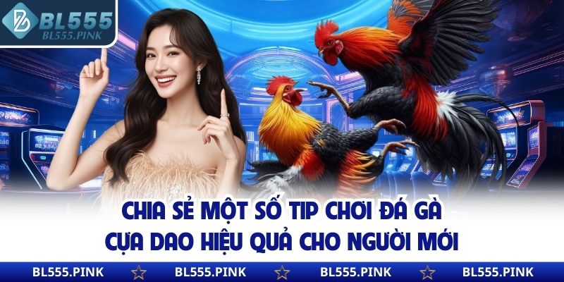 Chia sẻ một số tip chơi đá gà cựa dao hiệu quả cho người mới