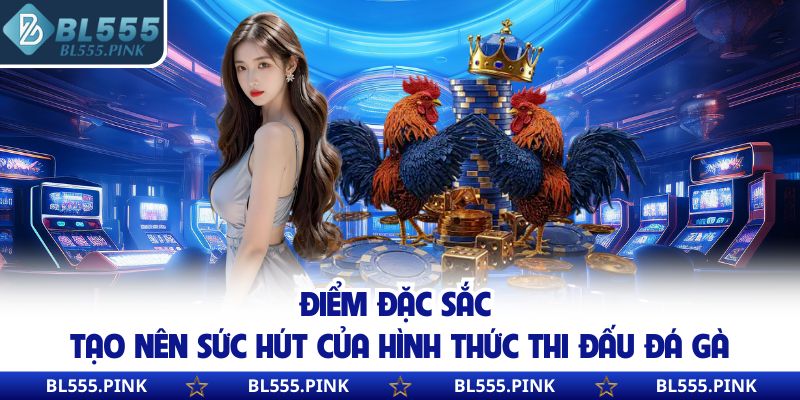 Điểm đặc sắc tạo nên sức hút của hình thức thi đấu đá gà