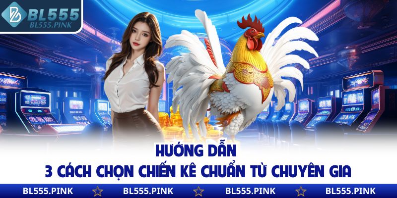 Hướng dẫn 3 cách chọn chiến kê chuẩn từ chuyên gia