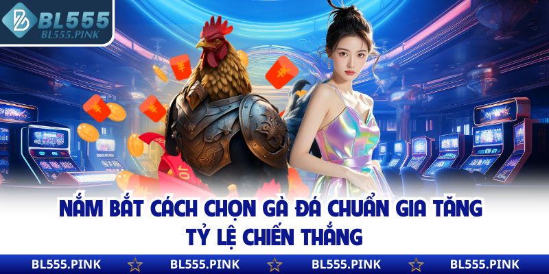Nắm bắt cách chọn gà đá chuẩn gia tăng tỷ lệ chiến thắng