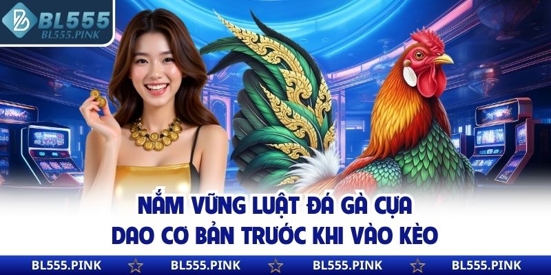 Nắm vững luật đá gà cựa dao cơ bản trước khi vào kèo