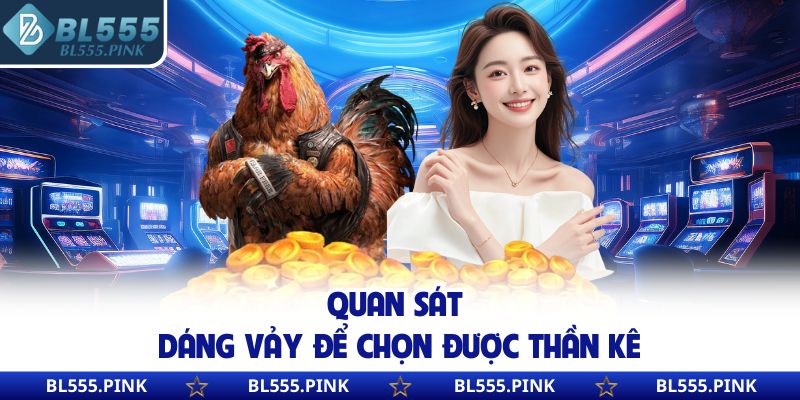 Quan sát dáng vảy để chọn được thần kê