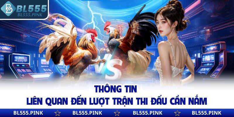 Thông tin liên quan đến lượt trận thi đấu cần nắm